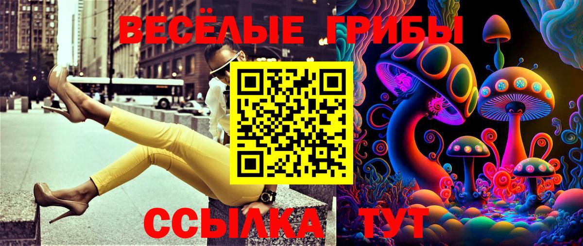 Псилоцибиновые грибы GOLDEN TEACHER Валуйки