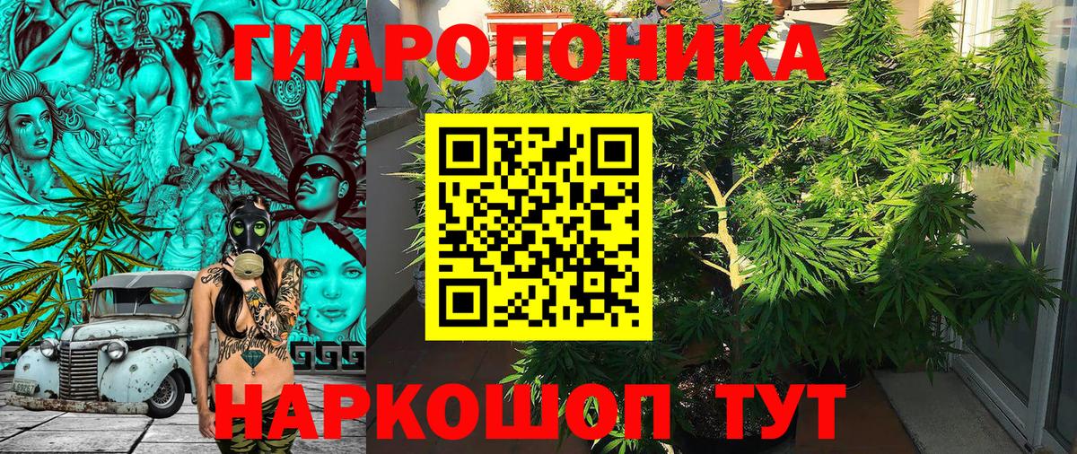 Бошки марихуана семена Валуйки